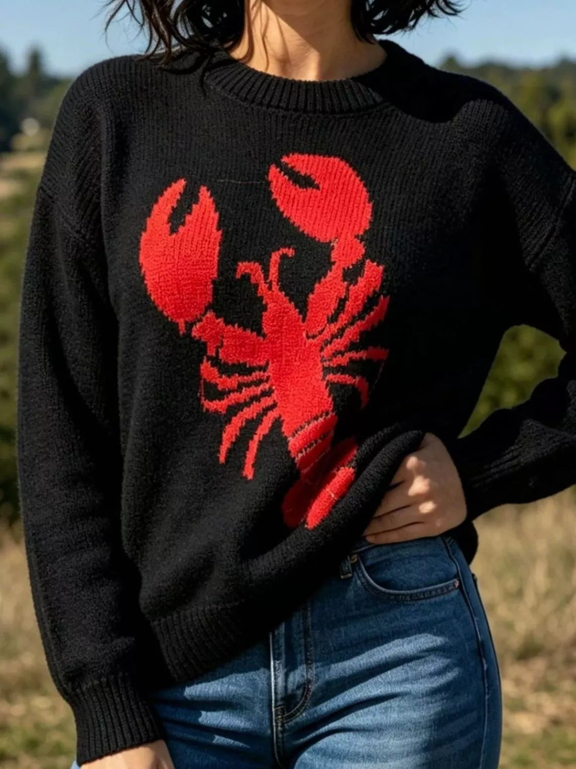 Black crew neck sweater with red lobster graphic on the front
