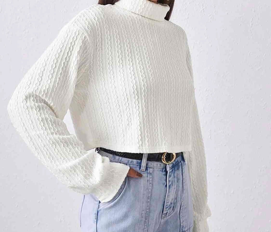 Turtleneck Long Sleeve Top