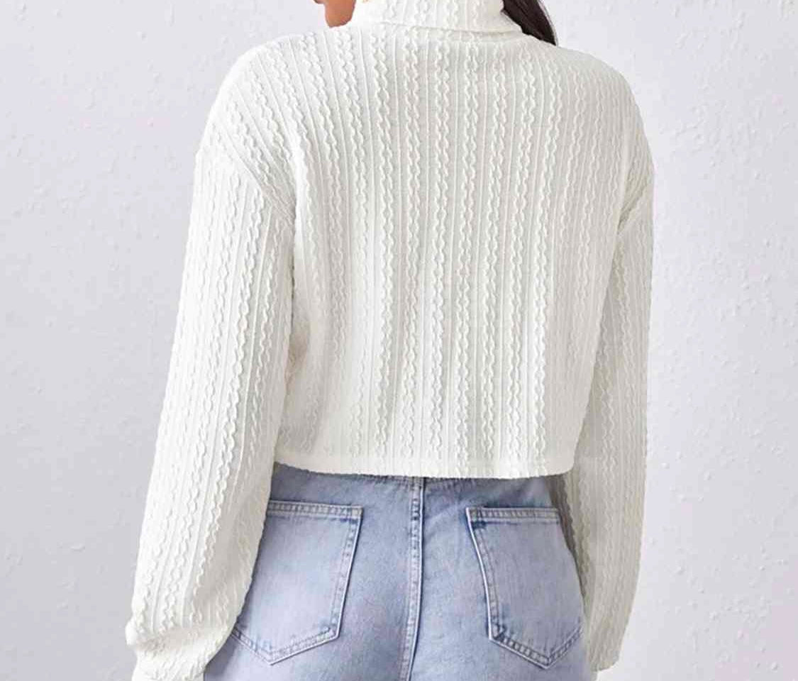 Turtleneck Long Sleeve Top