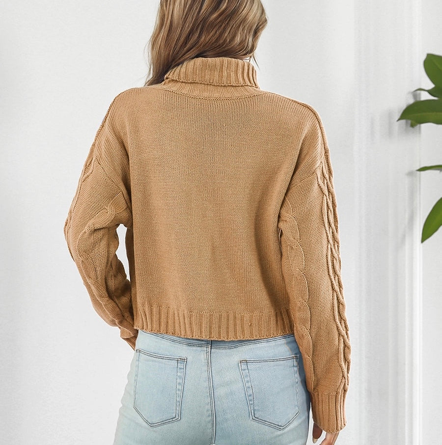 Turtleneck Dropped Shoulder Sweater