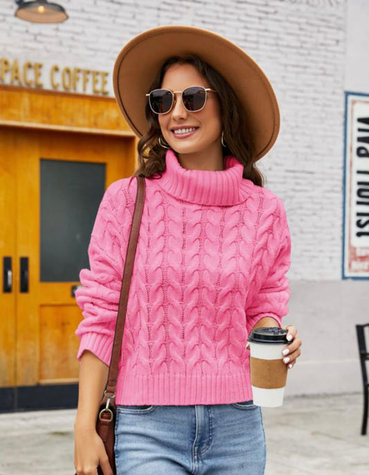 Turtle Neck Cable-Knit Sweater