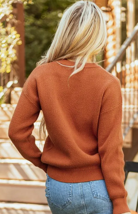 Terracotta knit long-sleeve sweater with crew neck, plain back