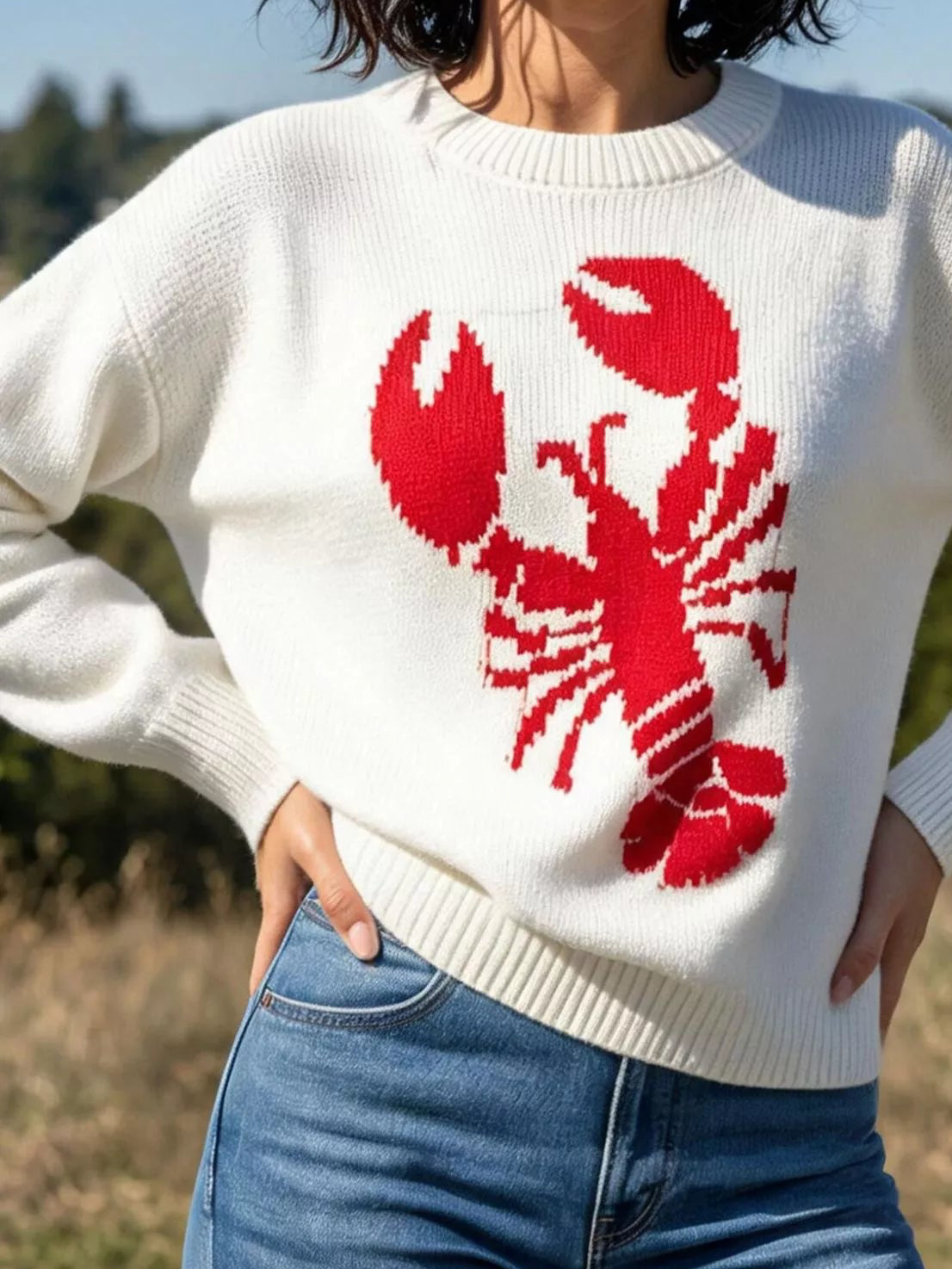 Ivory crew neck sweater with red lobster graphic on the front