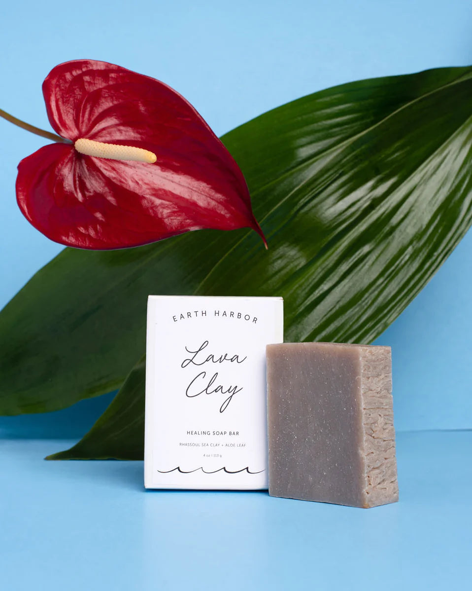 LAVA CLAY Healing Soap Bar